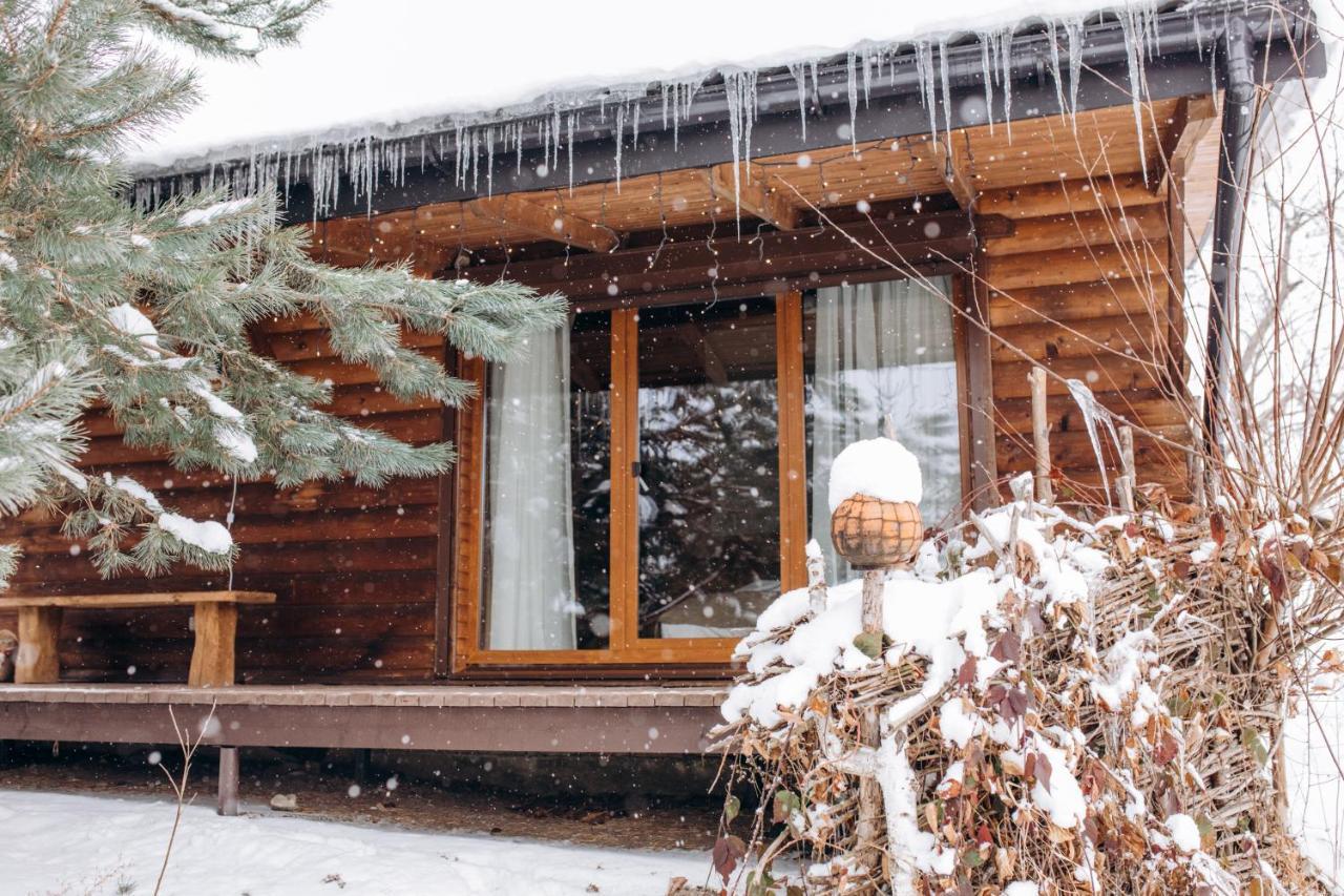 Dolyna Mykolaya Villa Migovo Bagian luar foto
