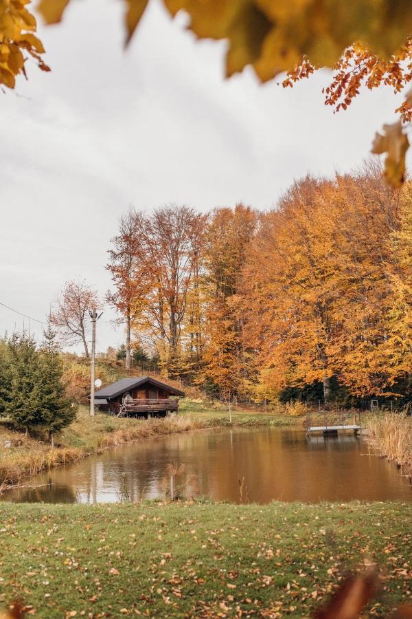 Dolyna Mykolaya Villa Migovo Bagian luar foto