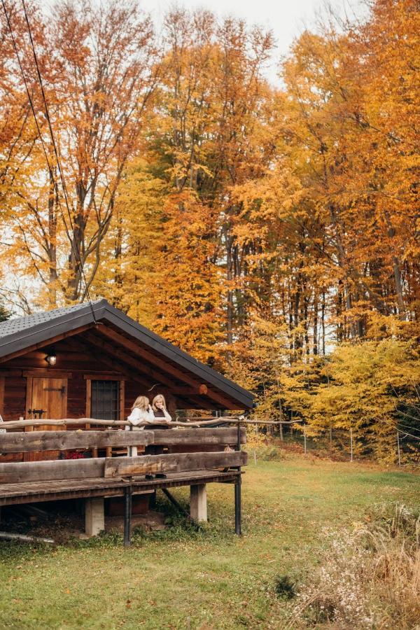 Dolyna Mykolaya Villa Migovo Bagian luar foto