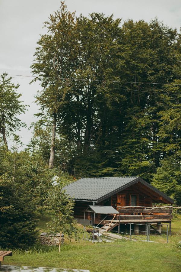 Dolyna Mykolaya Villa Migovo Bagian luar foto