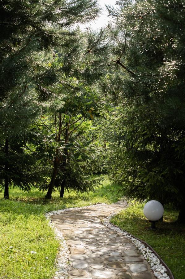Dolyna Mykolaya Villa Migovo Bagian luar foto